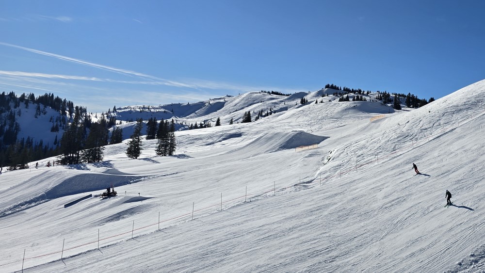 Kings Park vanuit de gondel
